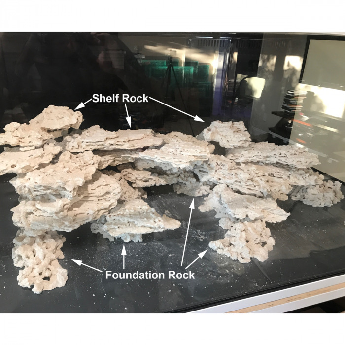 Marine Aquarium Rock: Which Rock is Right for You? - Bulk Reef Supply