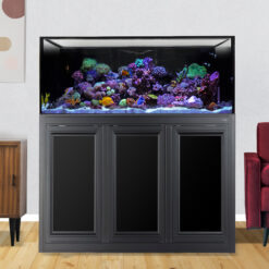 INT 100 Gallon Complete Reef System