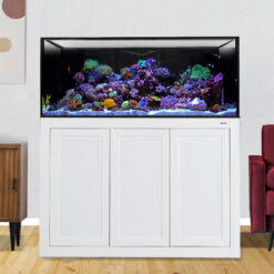 INT 100 Gallon Complete Reef System