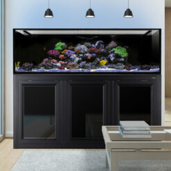 INT 200 Gallon Complete Reef System