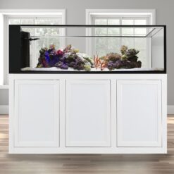 INT 200 Gallon Peninsula Complete Reef System